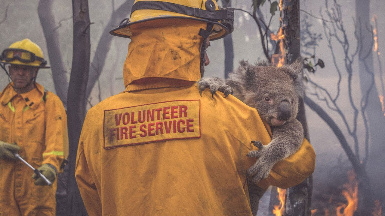 East Gippsland Bushfires – Can you help?