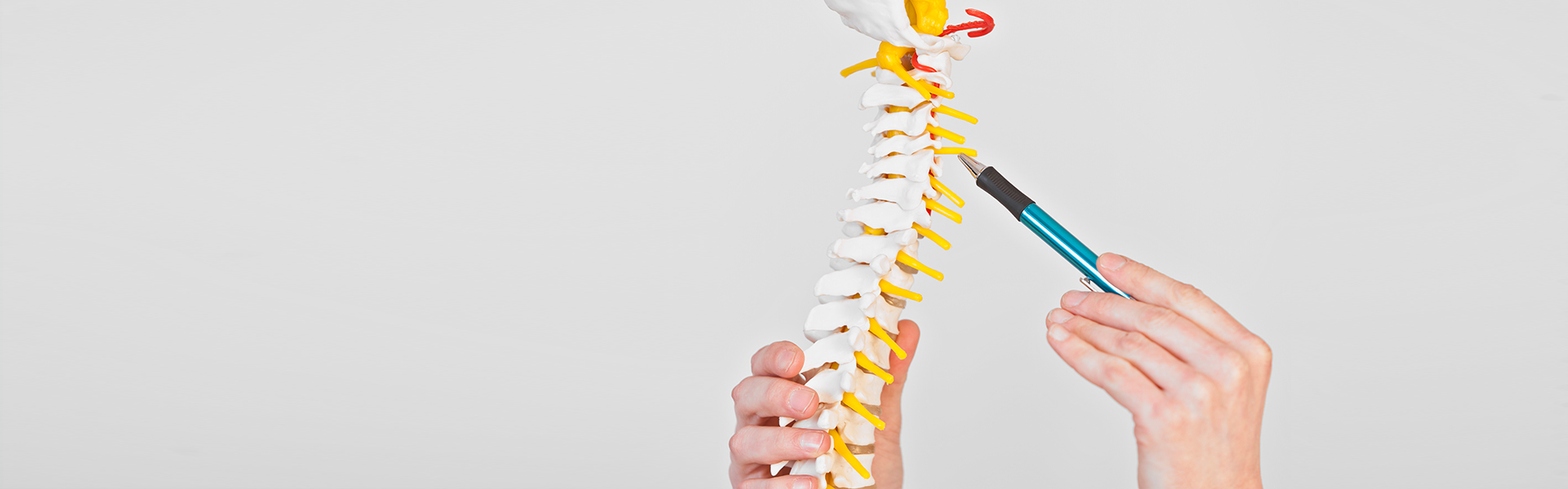 SpineOnline 2020