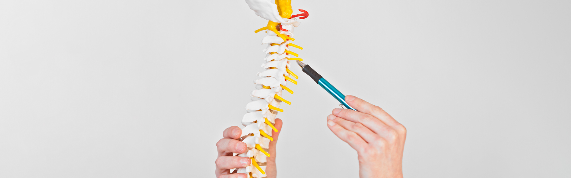 SpineWeek 2023